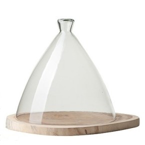 Plateau acacia + cloche verre